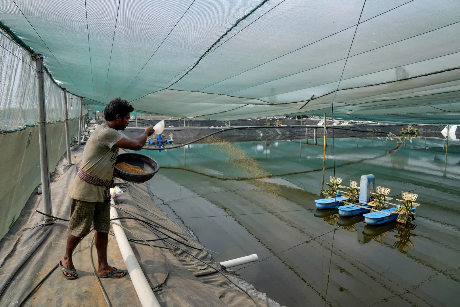 India: Pollution and fatal workplace accidents in the fishmeal industry