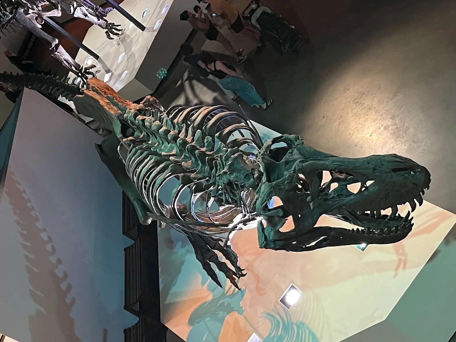 Ντέιβ Χόουν: Τι ξέρουμε στ’ αλήθεια για τον T-Rex, τους δεινόσαυρους και την εξαφάνισή τους