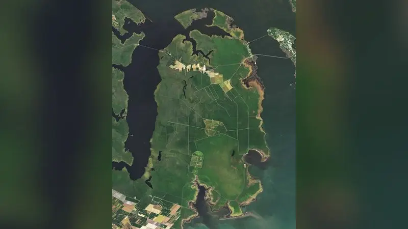 Ghost Forests Creep Into North Carolina (153497 - ghostforests oli2 20241013 lrg)