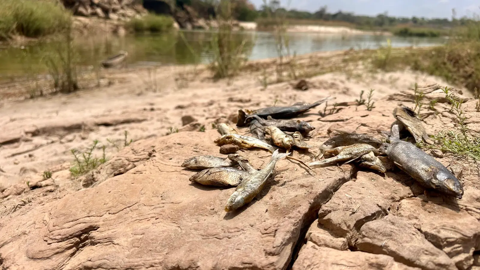 Νέα ρύπανση από ορυχείο της Vedanta στη Ζάμπια, παρά την προηγούμενη δικαστική συμφωνία