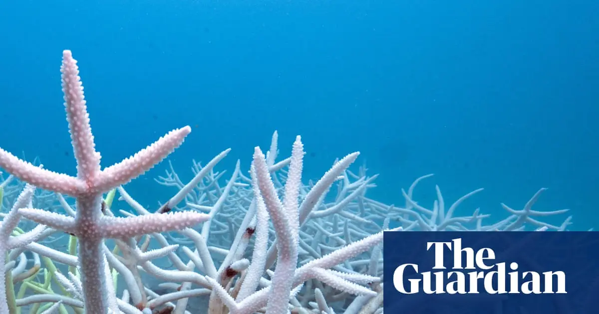 Oceans absorbed a record 23 zettajoules of heat in 2025, nearly 40 times human energy use