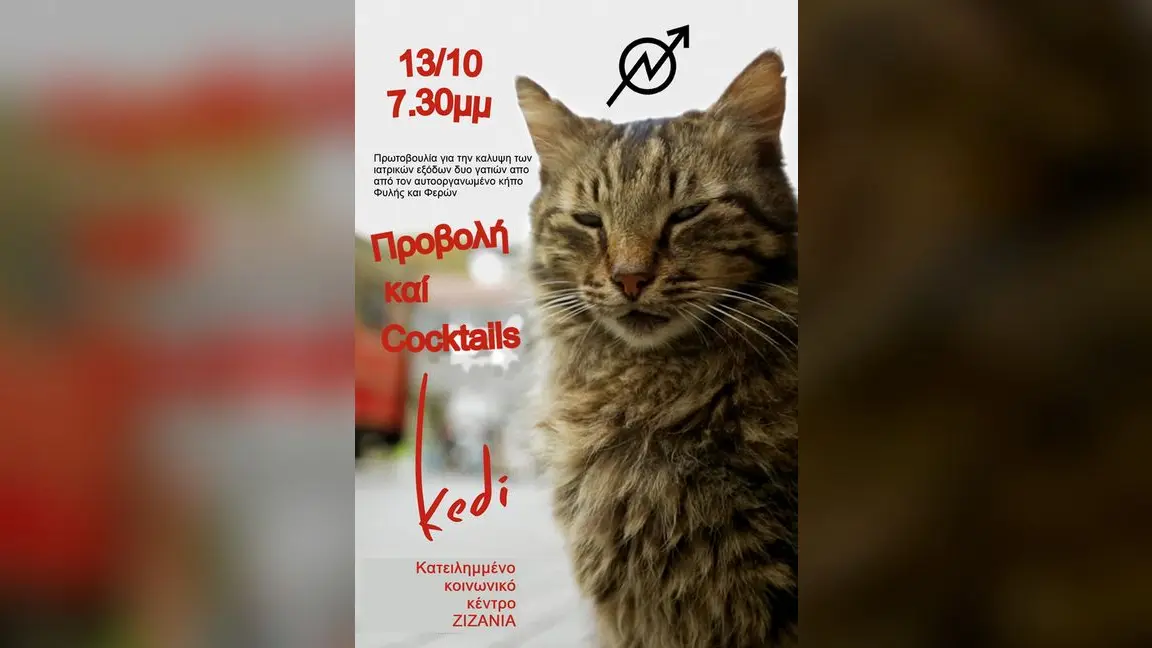 Προβολή του Kedi στα Ζιζάνια στην Αθήνα για τα έξοδα φροντίδας γατιών