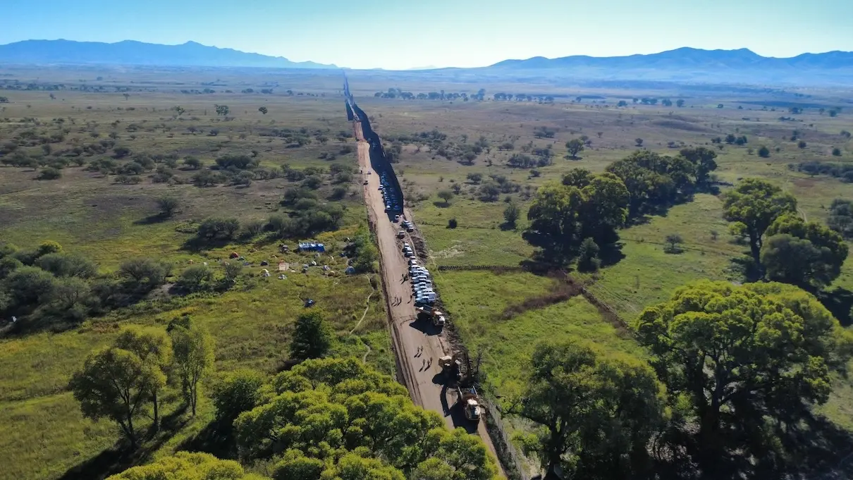 Activists at the US–Mexico border: the felling of Grandmother Tree and the fight for ecological connectivity