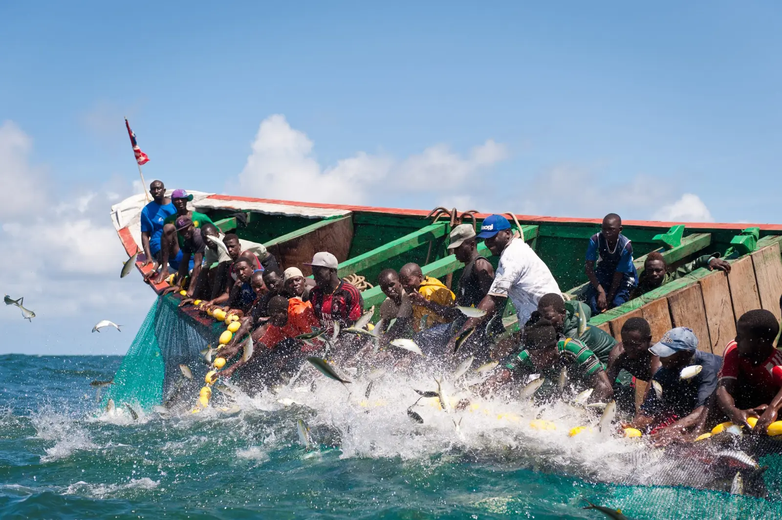Senegal: Fishmeal factories put pressure on food security