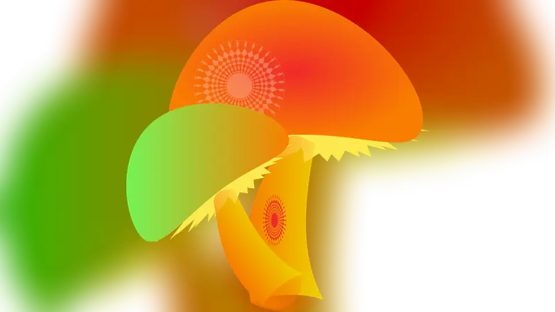 Mushroom Fungi Hallucinogenic